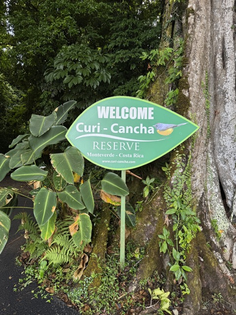 Curi-Cancha Sign